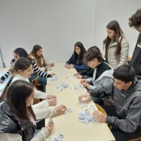 Apuramento da Eleição dos Deputados à Sessão Escolar